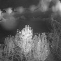 Webcam_20241108-204500