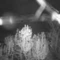 Webcam_20241109-051500