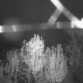 Webcam_20241109-063000