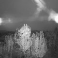 Webcam_20241109-064500