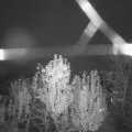 Webcam_20241109-191500