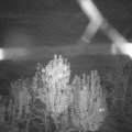 Webcam_20241109-194500
