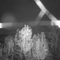 Webcam_20241109-200000