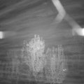 Webcam_20241109-201500