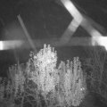 Webcam_20241109-204500