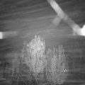 Webcam_20241109-211500