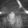 Webcam_20241110-051500