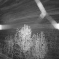 Webcam_20241110-063000