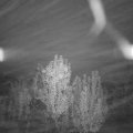 Webcam_20241110-064500