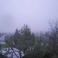Webcam_20241110-074500