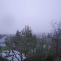 Webcam_20241110-080000