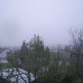 Webcam_20241110-084500