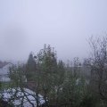 Webcam_20241110-090000