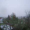 Webcam_20241110-094500