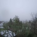 Webcam_20241110-124500