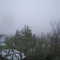 Webcam_20241110-130000