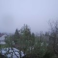 Webcam_20241110-153000