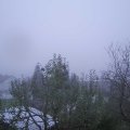 Webcam_20241110-161500