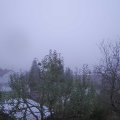 Webcam_20241110-163000