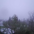 Webcam_20241110-164500