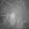 Webcam_20241110-191500