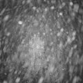 Webcam_20241110-194500