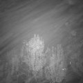 Webcam_20241110-200000