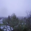 Webcam_20241111-073000