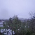 Webcam_20241111-080000