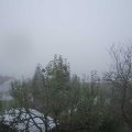 Webcam_20241111-113000