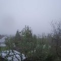 Webcam_20241111-120000