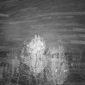 Webcam_20241111-190000