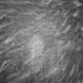 Webcam_20241111-193000