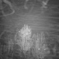 Webcam_20241111-194500