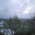 Webcam_20241112-080000