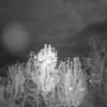 Webcam_20241112-201500