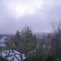 Webcam_20241115-080000