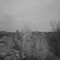 Webcam_20241115-170000