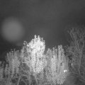 Webcam_20241117-054500