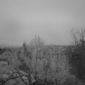 Webcam_20241117-073000