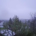Webcam_20241117-083000