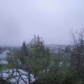 Webcam_20241117-090000