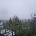 Webcam_20241117-093000