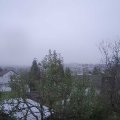 Webcam_20241117-103000