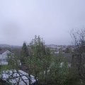 Webcam_20241118-093000