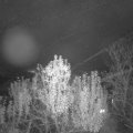 Webcam_20241119-061500