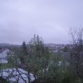Webcam_20241119-083000