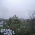 Webcam_20241119-123000