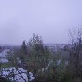 Webcam_20241120-161902