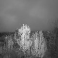 Webcam_20241120-170402